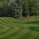 lawn-maintenance
